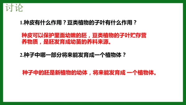 人教版（2024）七年级上册2.1.2 种子植物 课件(共32张PPT)+视频素材