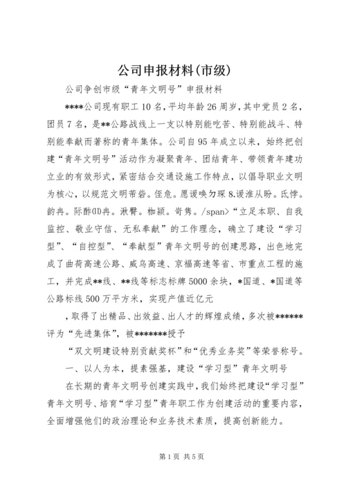 公司申报材料(市级) (3).docx