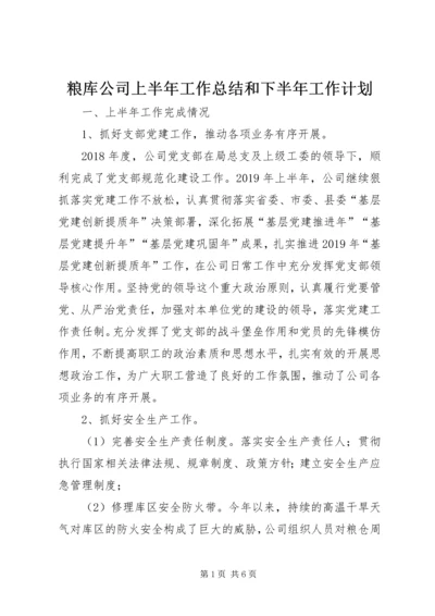 粮库公司上半年工作总结和下半年工作计划.docx