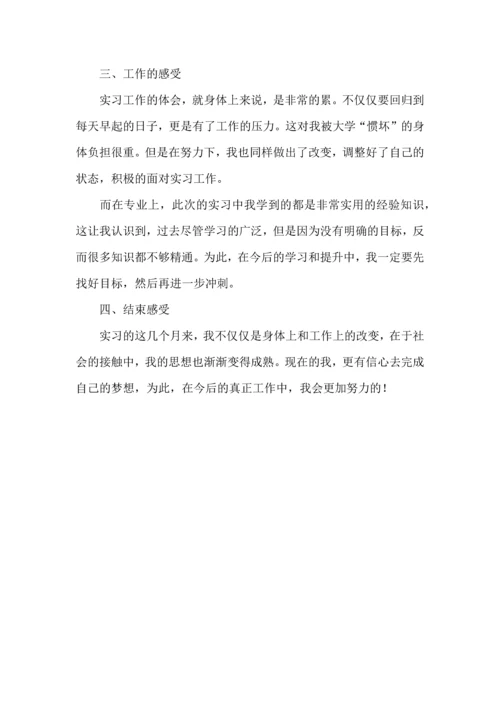 本科大学生实习心得体会.docx