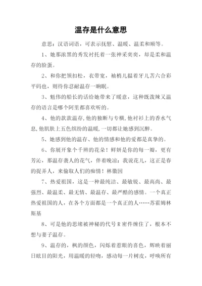 温存是什么意思.docx