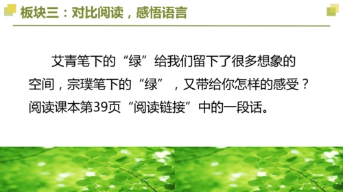 部编版2022-2023学年四年级语文下册大单元教学  第三单元    课件