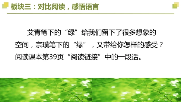 部编版2022-2023学年四年级语文下册大单元教学  第三单元    课件