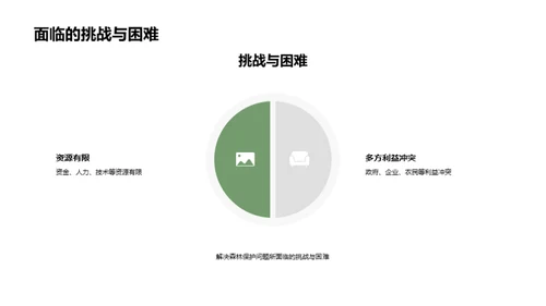 森林守护策略研究