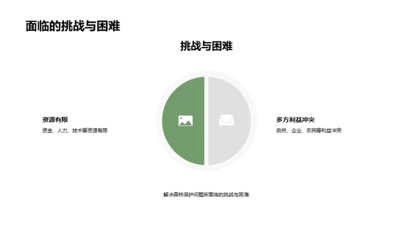 森林守护策略研究