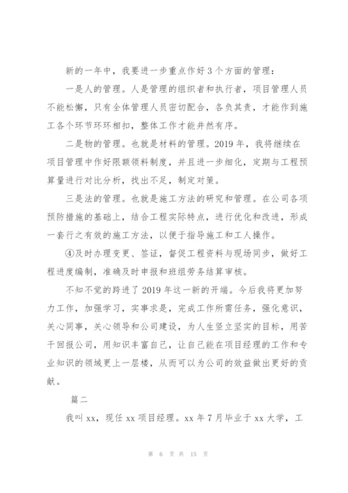 项目经理个人年度总结范文三篇.docx