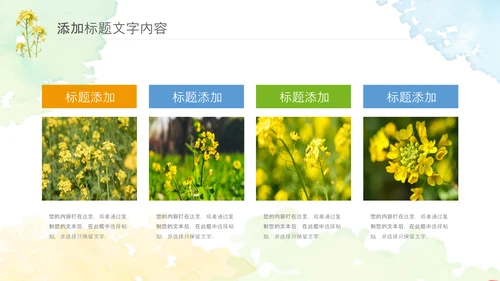 春天乡村旅游油菜花风景油菜花田PPT模板