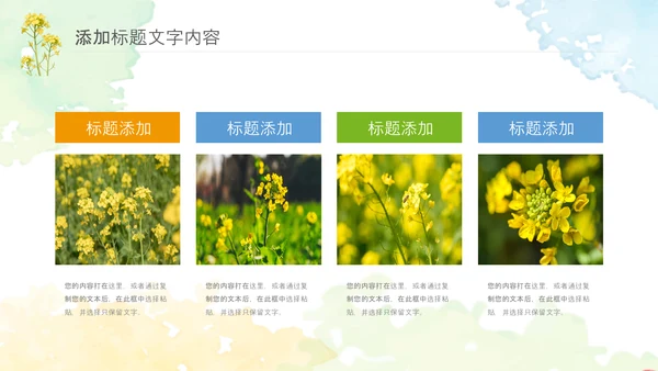 春天乡村旅游油菜花风景油菜花田PPT模板