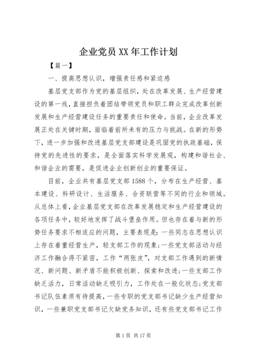 企业党员某年工作计划.docx