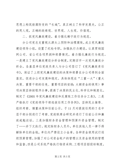 电力分公司党风廉政建设自查报告 (3).docx