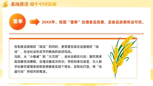 大学生形势与政策保障粮食安全的中国策ppt课件党建