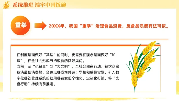 大学生形势与政策保障粮食安全的中国策ppt课件党建