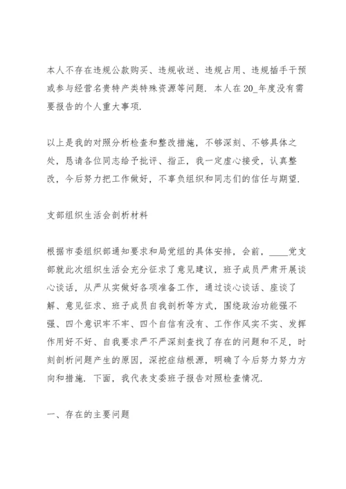 支部组织生活会剖析材料.docx