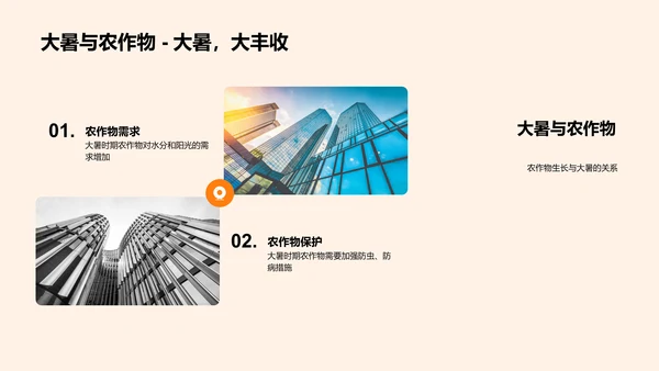 大暑节气文化报告PPT模板