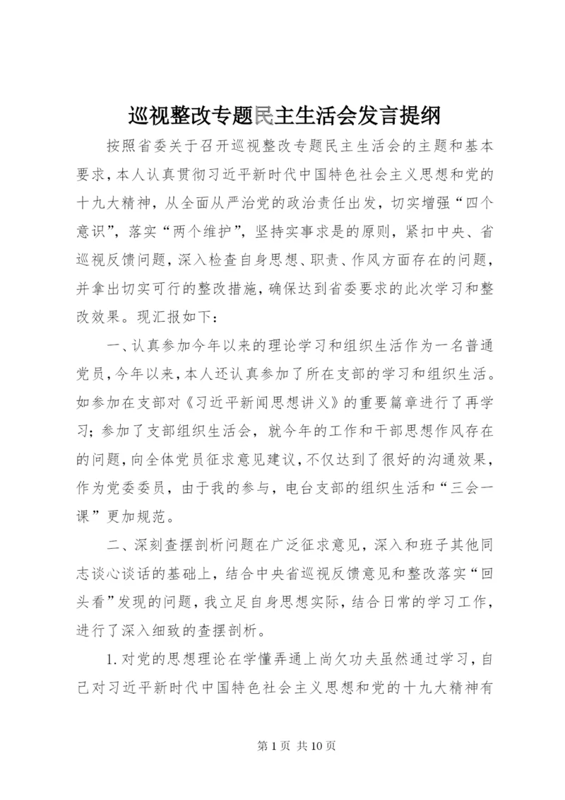 巡视整改专题民主生活会发言提纲.docx