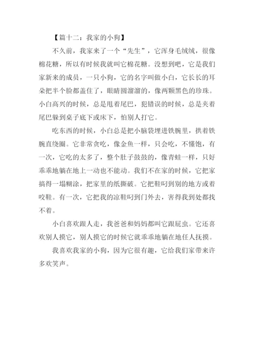关于小狗的作文350字.docx
