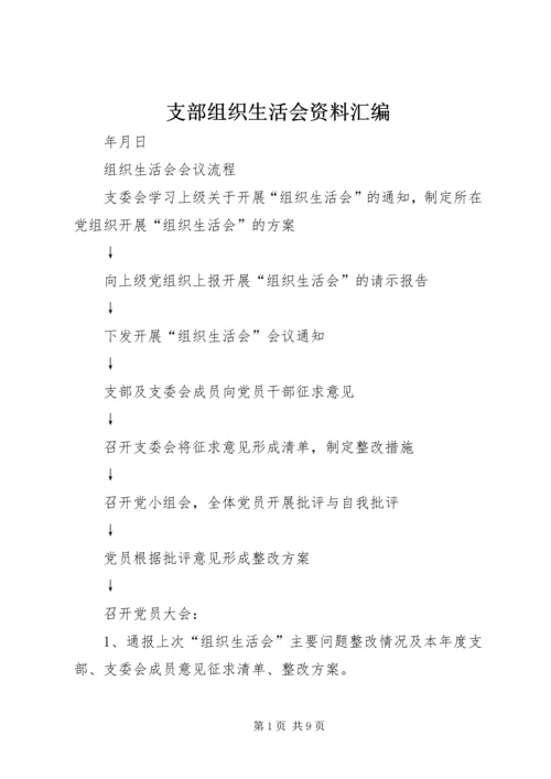 支部组织生活会资料汇编.docx