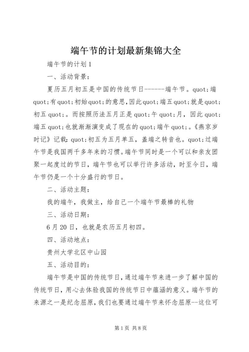 端午节的计划最新集锦大全.docx