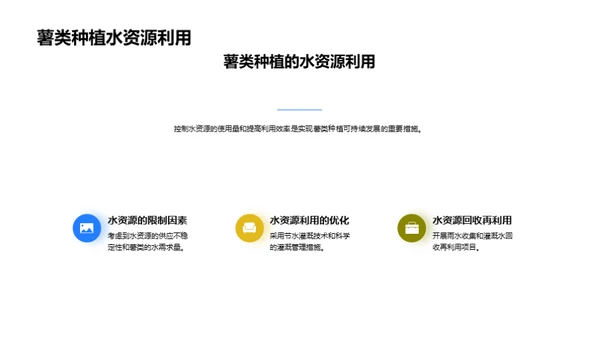 绿色薯种：环保农业