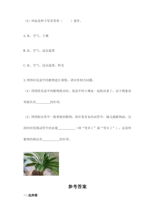 教科版四年级下册科学第一单元《植物的生长变化》测试卷精品【有一套】.docx