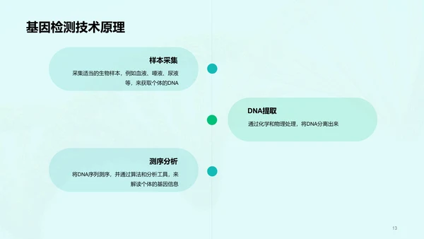 绿色创意基因检测服务商业计划书PPT模板