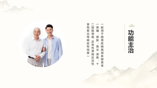 中国风中医药医疗保健产品介绍