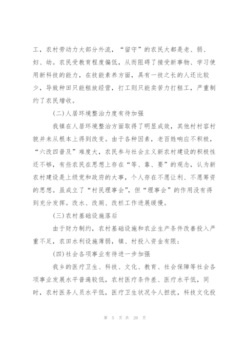 新农村建设调查报告范文.docx