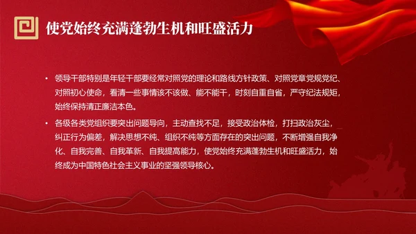 红色简约强党性党课教育PPT课件