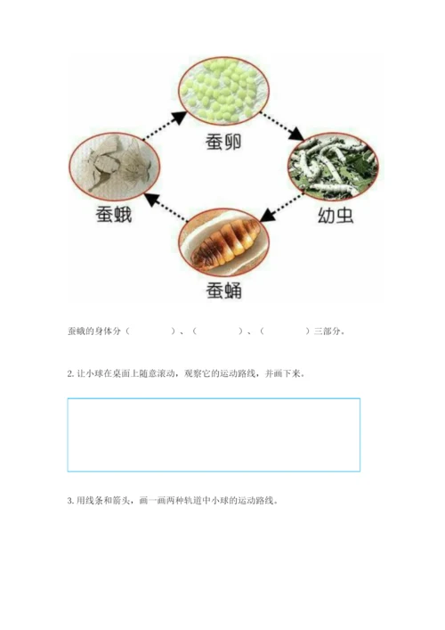 教科版科学三年级下册期末测试卷【考点精练】.docx