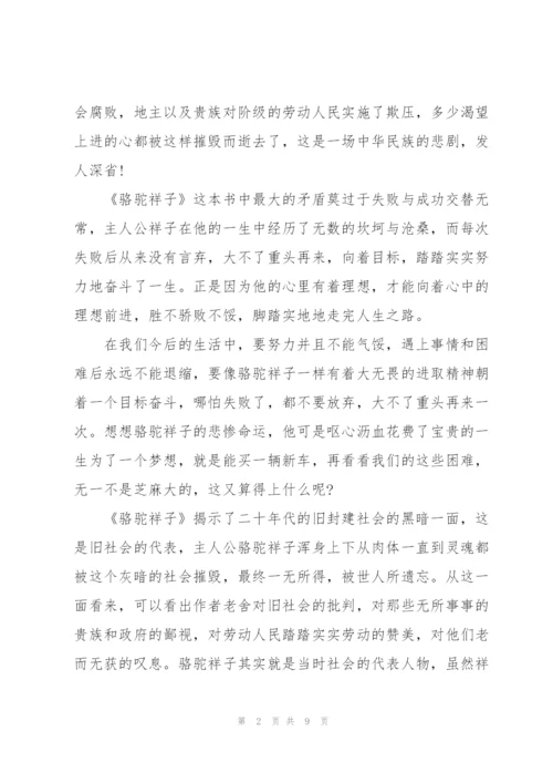 骆驼祥子读后感优秀作文300字5篇.docx