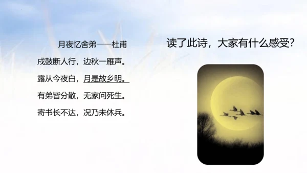 3.月是故乡明   课件