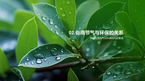 谷雨季节，引领绿色生活