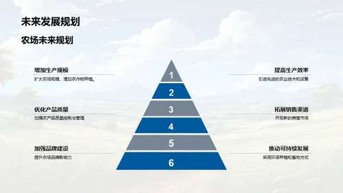 农场运营与合作策略