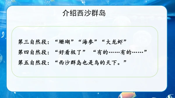 第18课《富饶的西沙群岛》课件