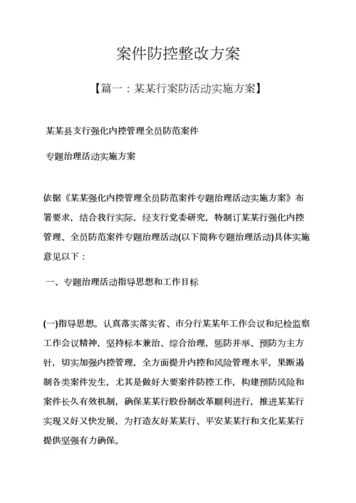 活动专项方案之案件防控整改专项方案.docx