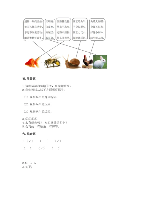 教科版一年级下册科学期末测试卷加解析答案.docx