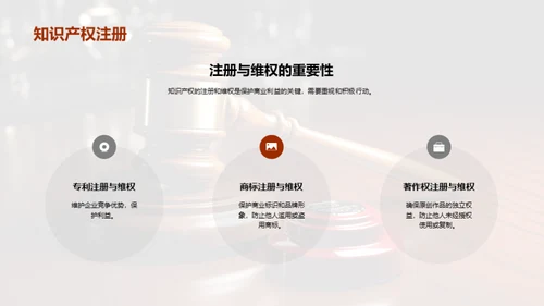 智慧护航：知识产权全面解析