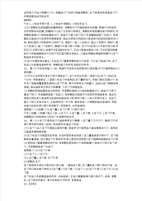 北师大版八年级生物上册152动物运动形成同步练习版，含答案解析