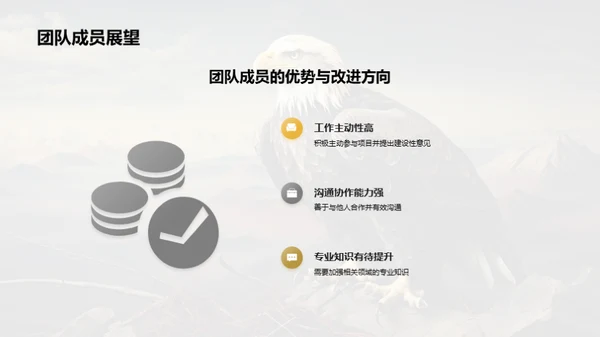 振翅飞翔：金融团队全览