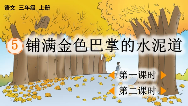 5 铺满金色巴掌的水泥道