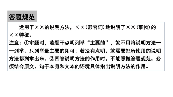 八年级上册第五单元《中国石拱桥》《苏州园林》联读：说明对象、说明方法、说明语言 核心素养联读课堂课件