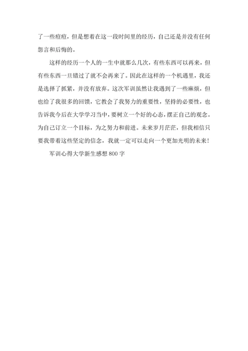 军训心得大学新生感想800字20225篇.docx
