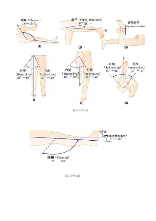 完整版图文,关节活动度测量方法和正常范围