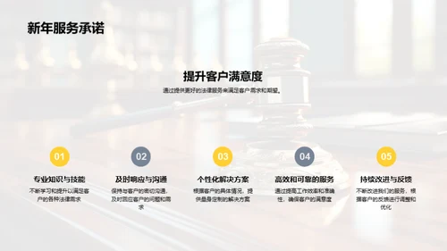 法律领域年度总结