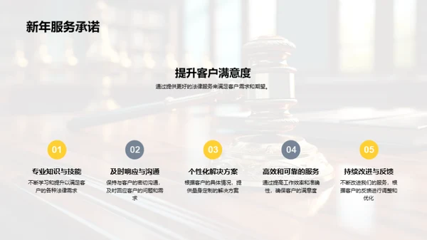 法律领域年度总结
