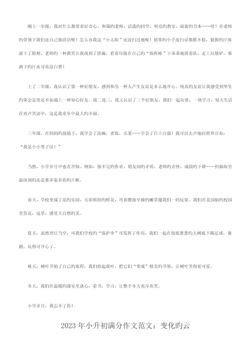 2023年小升初满分作文优质资料.docx