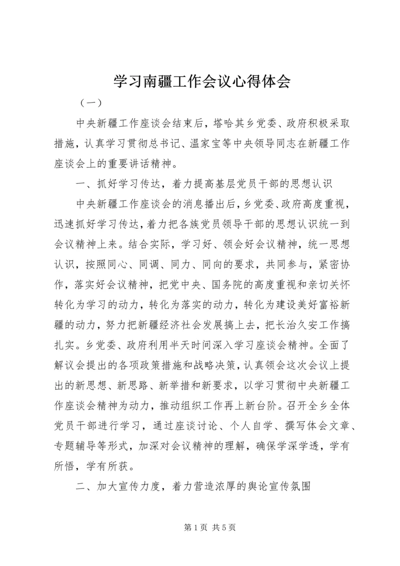 学习南疆工作会议心得体会.docx