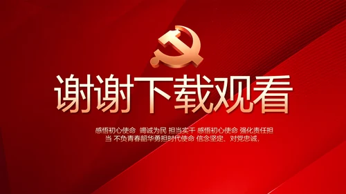 党建党支部工作总结汇报计划PPT党课