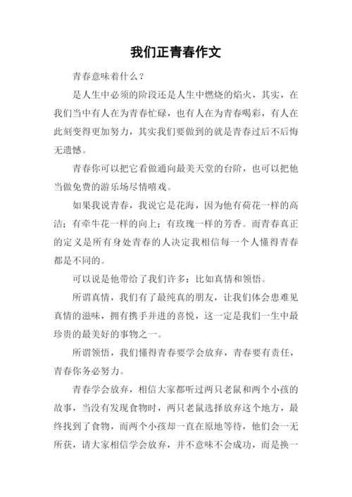 我们正青春作文.docx