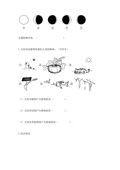 教科版科学二年级上册《期末测试卷》（能力提升）word版.docx